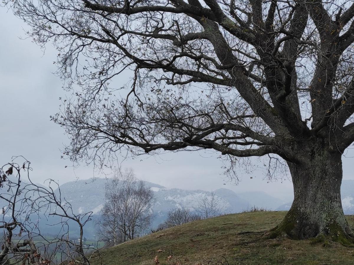 Gite Des 3 Arbres Aramits Exteriör bild